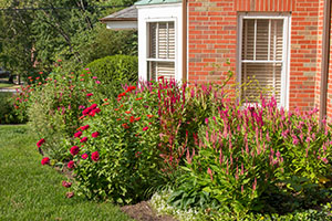 2022 flowers near living room