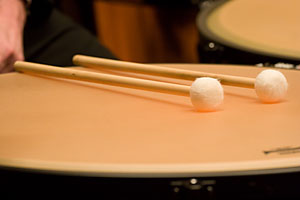 HSO timpani sticks