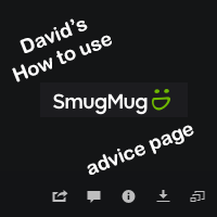 SmugMug Advice logo
